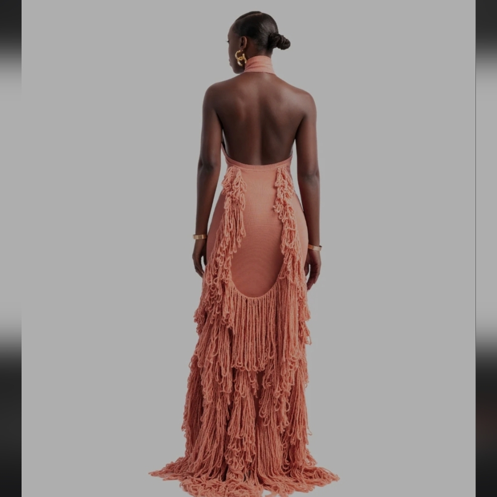 Hanifa Terracotta Fringe Maxi Dress - Picture 2 of 3